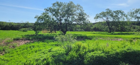 Texas High-Fenced Hunting Ranch near San Angelo and Midland - image 6