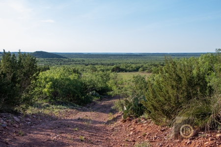 Texas High-Fenced Hunting Ranch near San Angelo and Midland - image 18