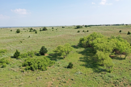 Woods County OK Land Auction - image 4