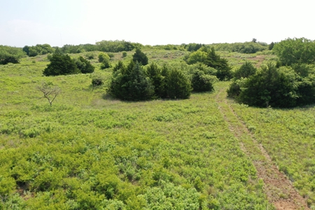 Woods County OK Land Auction - image 24