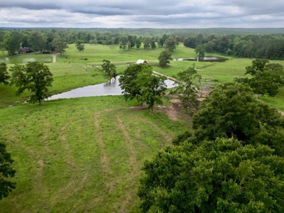 2 House Poultry Broiler Farm For Sale SE Mississippi - image 3