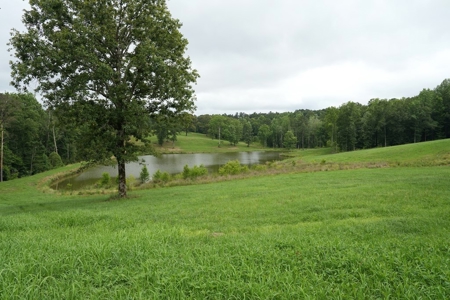 2 House Poultry Broiler Farm For Sale SE Mississippi - image 35