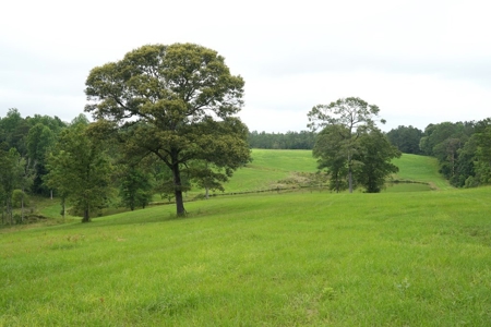 2 House Poultry Broiler Farm For Sale SE Mississippi - image 34