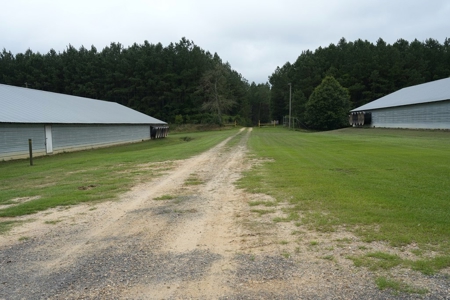 2 House Poultry Broiler Farm For Sale SE Mississippi - image 20