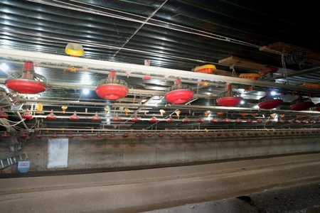 2 House Poultry Broiler Farm For Sale SE Mississippi - image 14