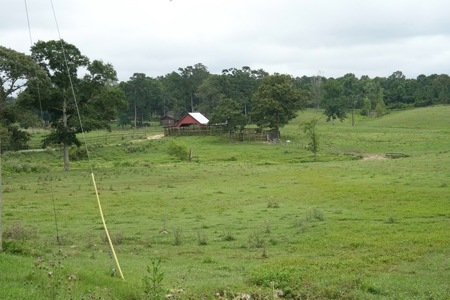 2 House Poultry Broiler Farm For Sale SE Mississippi - image 29