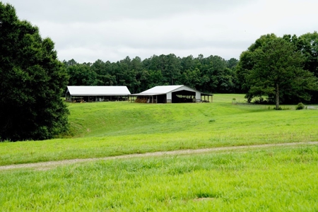 2 House Poultry Broiler Farm For Sale SE Mississippi - image 6