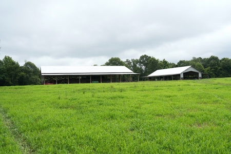 2 House Poultry Broiler Farm For Sale SE Mississippi - image 30