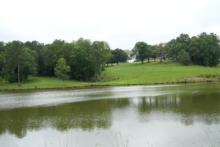 2 House Poultry Broiler Farm For Sale SE Mississippi - image 7