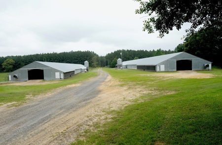 2 House Poultry Broiler Farm For Sale SE Mississippi - image 4