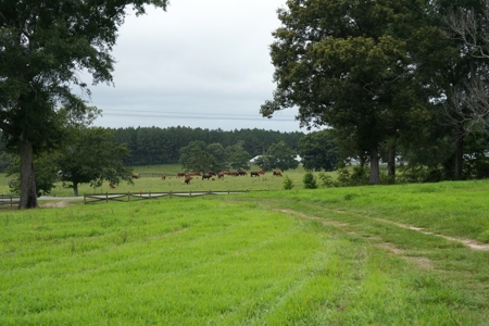 2 House Poultry Broiler Farm For Sale SE Mississippi - image 33
