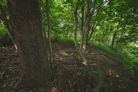 Commercial Property for Sale in Christiansburg VA! - image 14