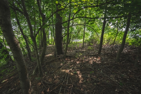 Commercial Property for Sale in Christiansburg VA! - image 16