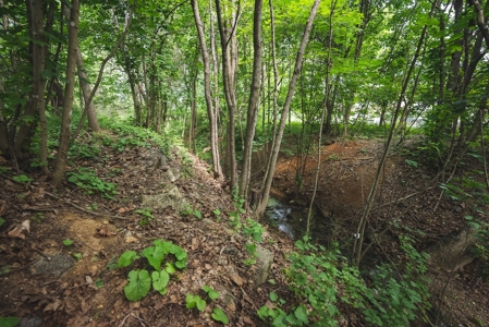Commercial Property for Sale in Christiansburg VA! - image 8