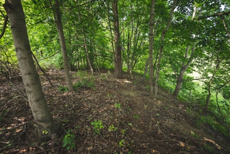 Commercial Property for Sale in Christiansburg VA! - image 13