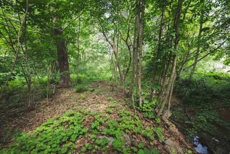 Commercial Property for Sale in Christiansburg VA! - image 9