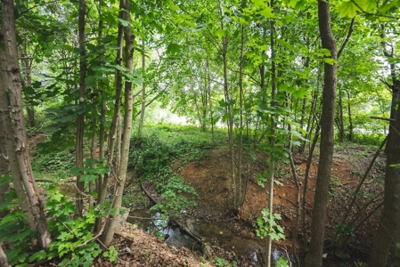 Commercial Property for Sale in Christiansburg VA! - image 10