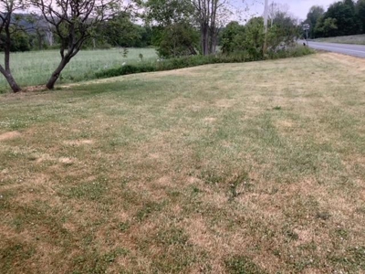 Muti-Family Home With Country Views - image 4