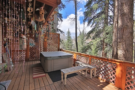 Riverfront Home and Acreage For Sale Near Aspen Colorado - image 27