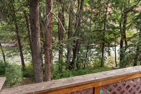 Riverfront Home and Acreage For Sale Near Aspen Colorado - image 15