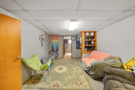 Brick Ranch, Apartments, For Sale Woodbine, IA Harrison Co - image 37