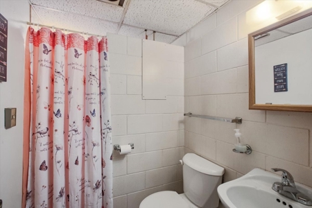 Brick Ranch, Apartments, For Sale Woodbine, IA Harrison Co - image 34