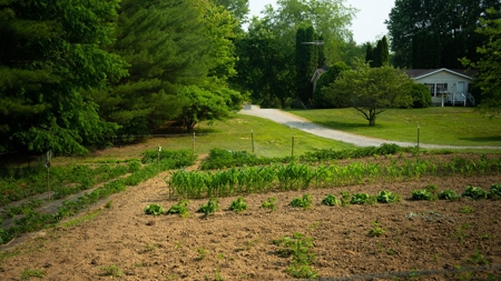 Vinton County Ohio Land for Sale - image 21