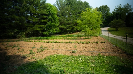 Vinton County Ohio Land for Sale - image 23