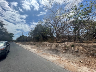 Large prime land featuring 7.9 Hectares at Via Panamericana - image 4