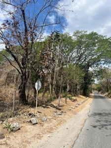 Large prime land featuring 7.9 Hectares at Via Panamericana - image 6
