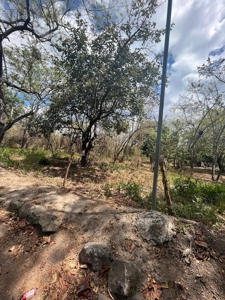 Large prime land featuring 7.9 Hectares at Via Panamericana - image 5