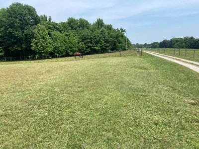 Country Home and  Farm in Metcalfe County - image 20