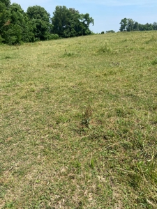 Country Home and  Farm in Metcalfe County - image 29
