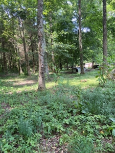 Country Home and  Farm in Metcalfe County - image 8