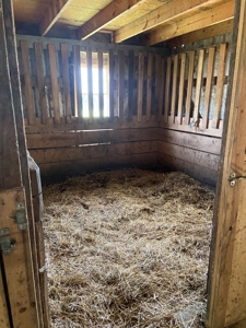 Country Home and  Farm in Metcalfe County - image 7