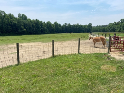 Country Home and  Farm in Metcalfe County - image 21