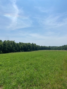 Country Home and  Farm in Metcalfe County - image 30