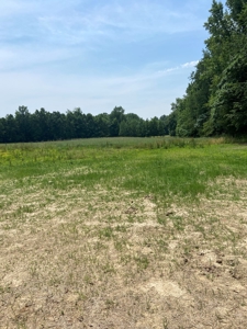 Country Home and  Farm in Metcalfe County - image 9