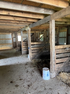 Country Home and  Farm in Metcalfe County - image 6