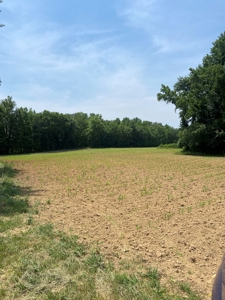 Country Home and  Farm in Metcalfe County - image 32
