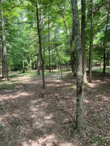 Country Home and  Farm in Metcalfe County - image 13