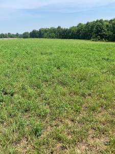 Country Home and  Farm in Metcalfe County - image 28