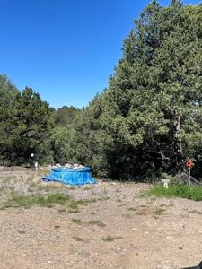 Homes for Sale near Chama NM, Chama River Access Nearby - image 31