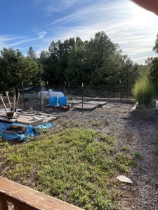 Homes for Sale near Chama NM, Chama River Access Nearby - image 7