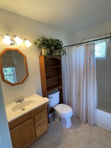 Homes for Sale near Chama NM, Chama River Access Nearby - image 15