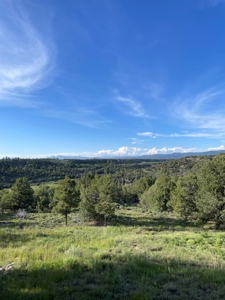 Homes for Sale near Chama NM, Chama River Access Nearby - image 5