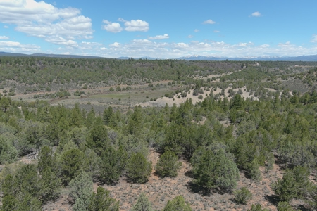 Homes for Sale near Chama NM, Chama River Access Nearby - image 37