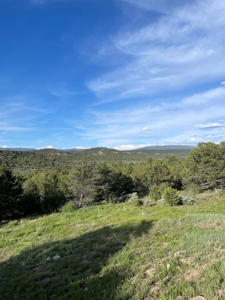 Homes for Sale near Chama NM, Chama River Access Nearby - image 6
