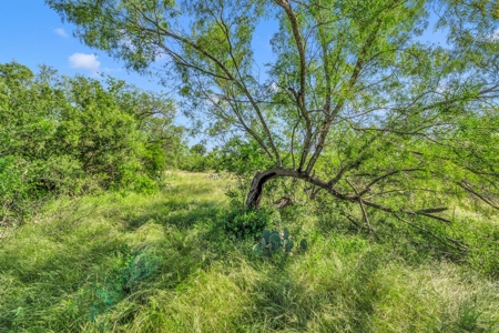 14 Acres on the hard corner just South of Castroville! - image 5