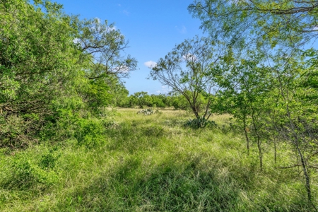14 Acres on the hard corner just South of Castroville! - image 9